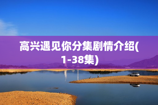 高兴遇见你分集剧情介绍(1-38集)