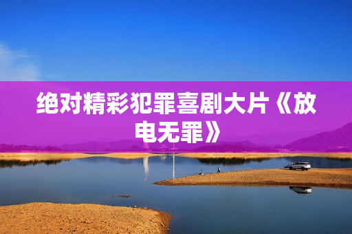 绝对精彩犯罪喜剧大片《放电无罪》