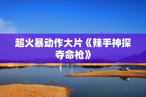 超火暴动作大片《辣手神探夺命枪》