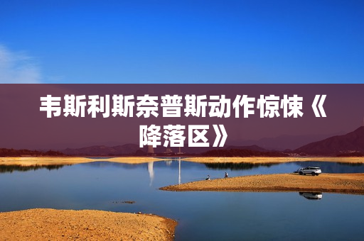 韦斯利斯奈普斯动作惊悚《降落区》