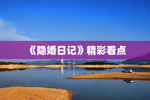 《隐婚日记》精彩看点
