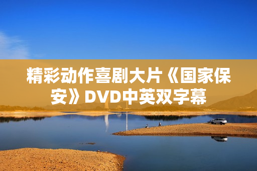 精彩动作喜剧大片《国家保安》DVD中英双字幕
