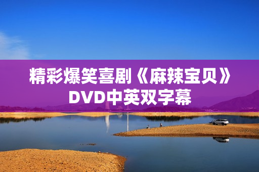 精彩爆笑喜剧《麻辣宝贝》DVD中英双字幕