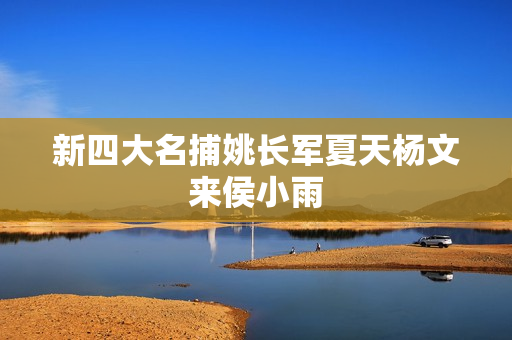 新四大名捕姚长军夏天杨文来侯小雨