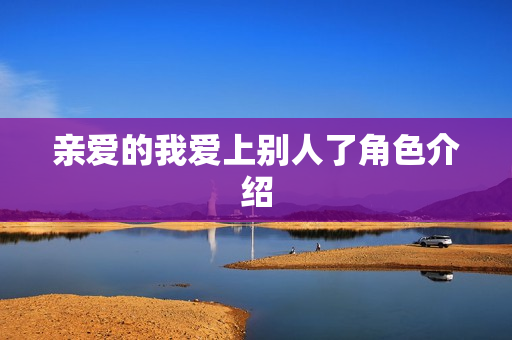 亲爱的我爱上别人了角色介绍