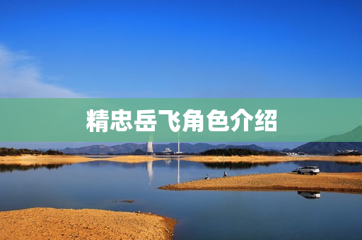 精忠岳飞角色介绍