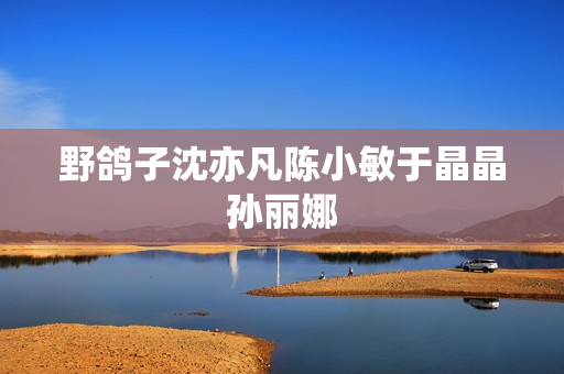 野鸽子沈亦凡陈小敏于晶晶孙丽娜