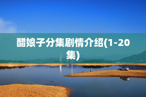 醋娘子分集剧情介绍(1-20集) 醋娘子分集剧情介绍(1-20集)
