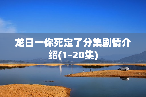 龙日一你死定了分集剧情介绍(1-20集)