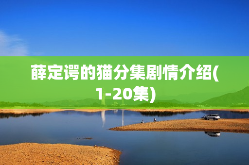 薛定谔的猫分集剧情介绍(1-20集)