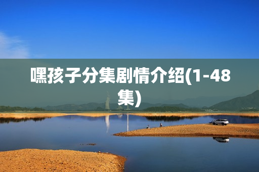 嘿孩子分集剧情介绍(1-48集)