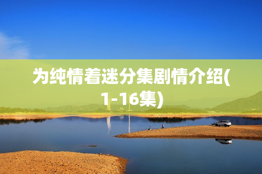 为纯情着迷分集剧情介绍(1-16集)