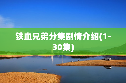铁血兄弟分集剧情介绍(1-30集)