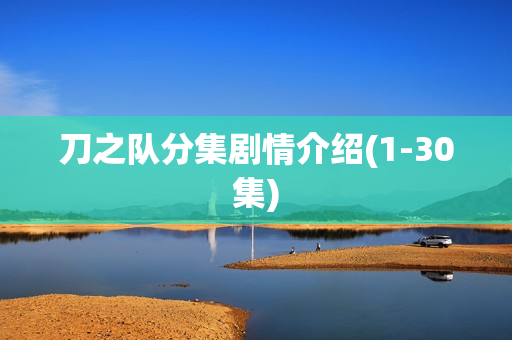 刀之队分集剧情介绍(1-30集)