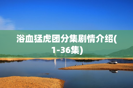 浴血猛虎团分集剧情介绍(1-36集)