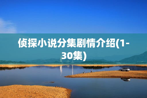 侦探小说分集剧情介绍(1-30集)