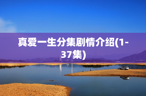 真爱一生分集剧情介绍(1-37集)