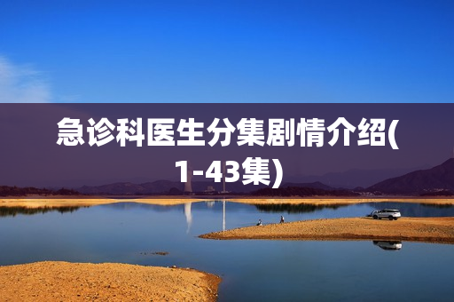 急诊科医生分集剧情介绍(1-43集)