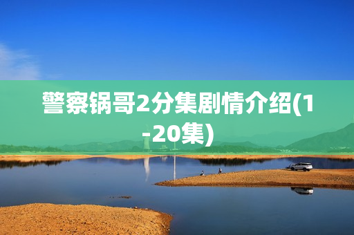 警察锅哥2分集剧情介绍(1-20集)