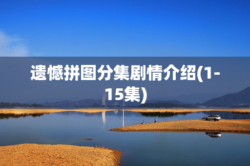 遗憾拼图分集剧情介绍(1-15集)