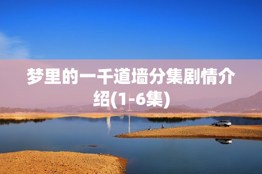 梦里的一千道墙分集剧情介绍(1-6集)