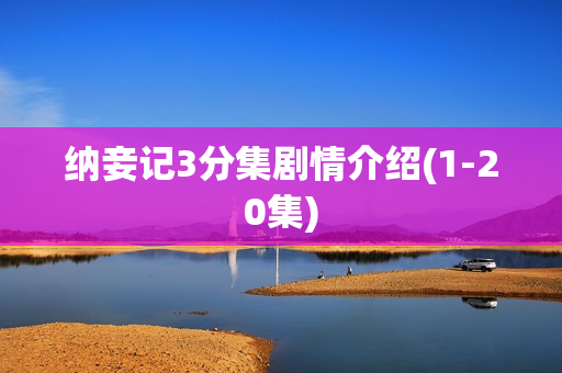 纳妾记3分集剧情介绍(1-20集)