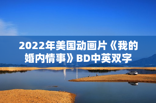2022年美国动画片《我的婚内情事》BD中英双字