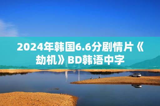 2024年韩国6.6分剧情片《劫机》BD韩语中字