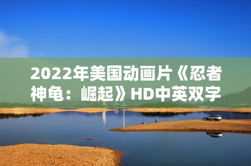 2022年美国动画片《忍者神龟：崛起》HD中英双字
