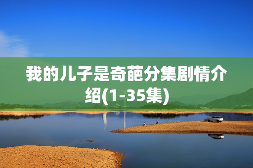 我的儿子是奇葩分集剧情介绍(1-35集)