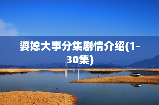 婆媳大事分集剧情介绍(1-30集)