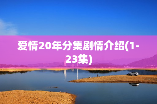 爱情20年分集剧情介绍(1-23集)