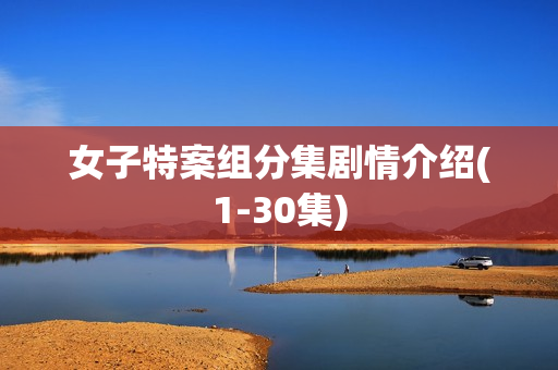 女子特案组分集剧情介绍(1-30集)