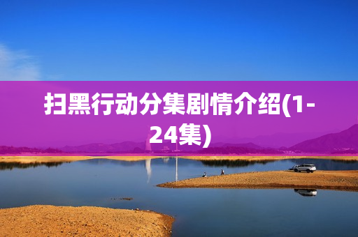 扫黑行动分集剧情介绍(1-24集)