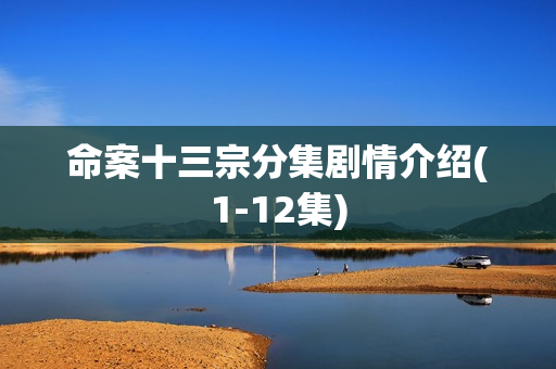 命案十三宗分集剧情介绍(1-12集)