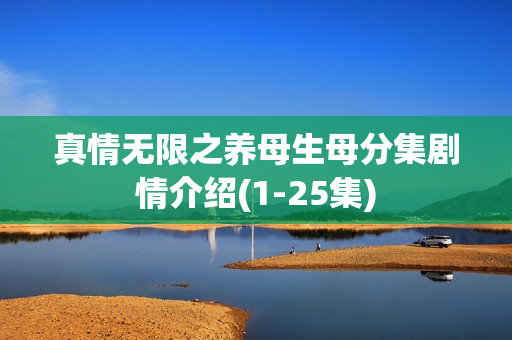 真情无限之养母生母分集剧情介绍(1-25集)