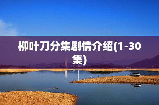 柳叶刀分集剧情介绍(1-30集)