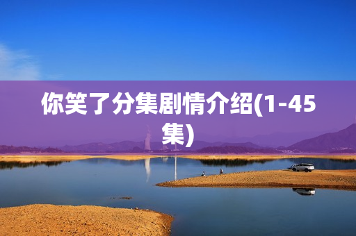 你笑了分集剧情介绍(1-45集) 你笑了分集剧情介绍(1-45集)