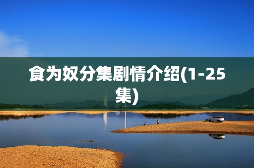 食为奴分集剧情介绍(1-25集)