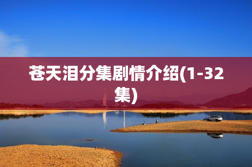 苍天泪分集剧情介绍(1-32集)