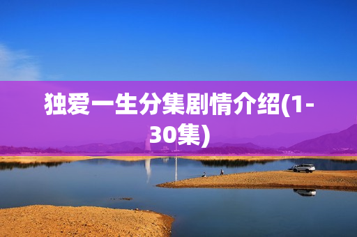 独爱一生分集剧情介绍(1-30集) 独爱一生分集剧情介绍(1-30集)