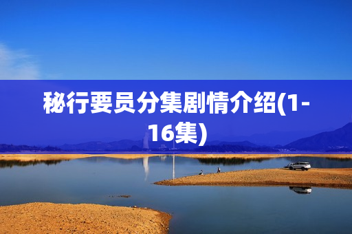 秘行要员分集剧情介绍(1-16集)