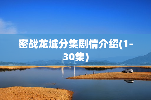 密战龙城分集剧情介绍(1-30集)