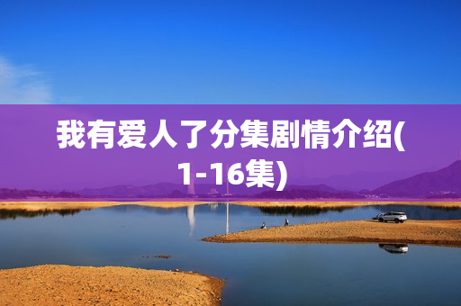 我有爱人了分集剧情介绍(1-16集)