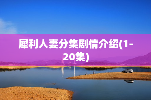 犀利人妻分集剧情介绍(1-20集)
