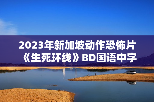 2023年新加坡动作恐怖片《生死环线》BD国语中字