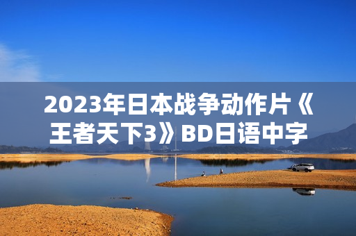 2023年日本战争动作片《王者天下3》BD日语中字