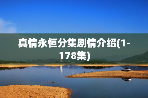 真情永恒分集剧情介绍(1-178集)