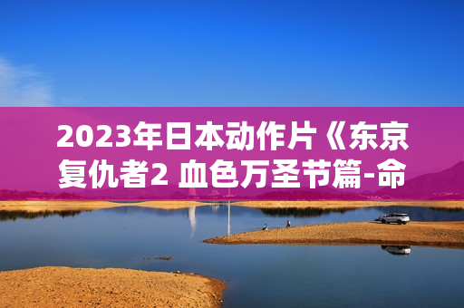 2023年日本动作片《东京复仇者2 血色万圣节篇-命运》BD日语中字