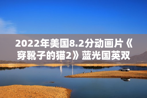 2022年美国8.2分动画片《穿靴子的猫2》蓝光国英双语中英双字